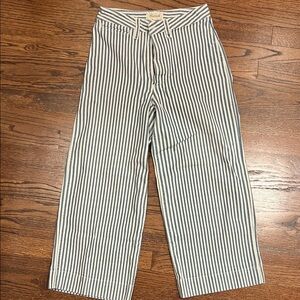 Madewell women’s Blue and White Striped denim
